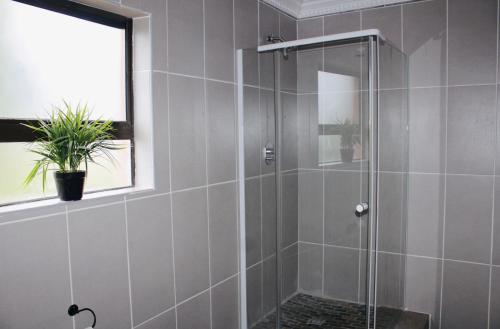 a shower with a glass door in a bathroom at Saints boutique lodge in Bloemfontein
