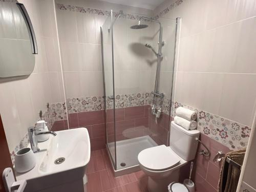 a bathroom with a shower and a toilet and a sink at Puertas del Mar 1 in Puerto Real