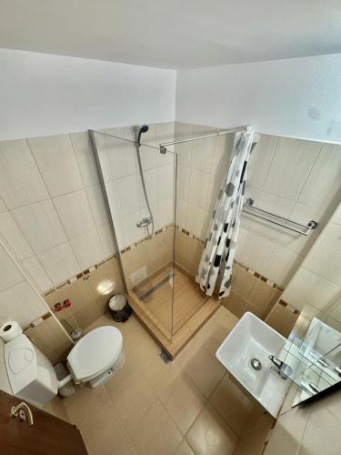 a bathroom with a shower and a toilet and a sink at Hotel Promenada in Mamaia