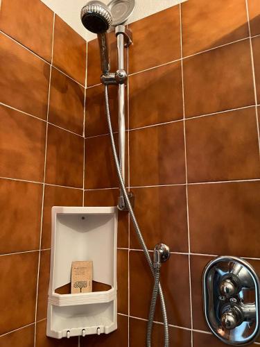 a shower with a shower head in a bathroom at Casa Vacanze Ginger in Grange Sises