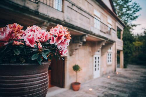 a pot of pink flowers in front of a building at Pazo Santa Teresa in Redondela