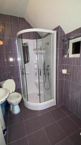 a bathroom with a shower and a toilet at Cabana Iubirii in Ranca