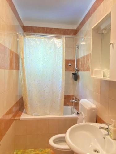 a bathroom with a toilet and a sink at Mia 4 in Crikvenica