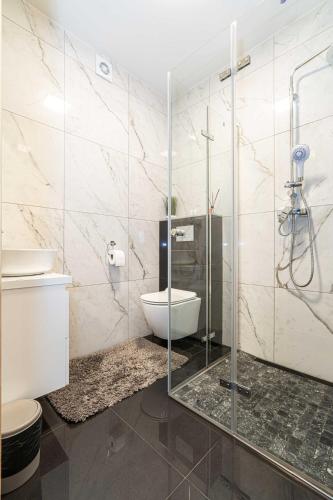 a bathroom with a glass shower and a toilet at Tarasówka u Zająca in Zakopane