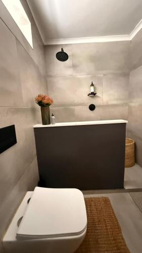 a bathroom with a white toilet and a bath tub at Shade & Salt in Sedgefield