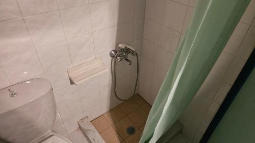 a bathroom with a shower and a toilet at Βωλίτης Ξενώνας - Παραδοσιακό Καφενείο Ζαγορίου in Papingo
