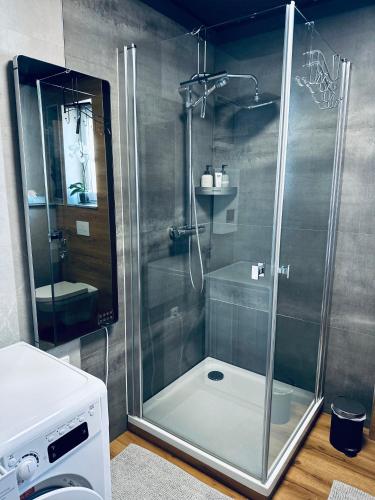 une douche avec une porte en verre dans une salle de bain dans l'établissement Tiny House, à Tüttleben