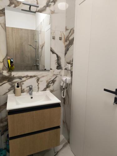 a bathroom with a sink and a mirror at Twin Constantin-Apartment in Suceava