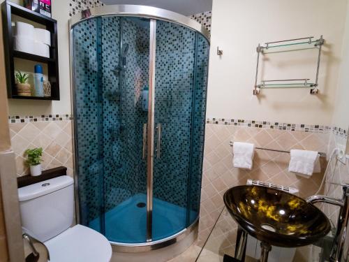 a bathroom with a shower with a toilet and a sink at El Rinconcico in Valdelinares