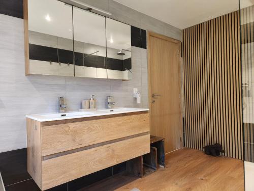 a bathroom with a sink and a mirror at B&B 't Greefsch Geluck in Kalmthout