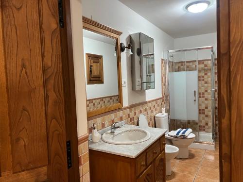 a bathroom with a sink and a toilet and a mirror at Casablanca in Candeleda