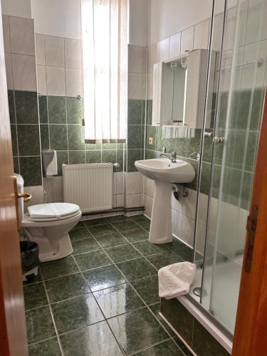 a bathroom with a sink and a toilet and a shower at Hotel Casa Traiana in Alba Iulia