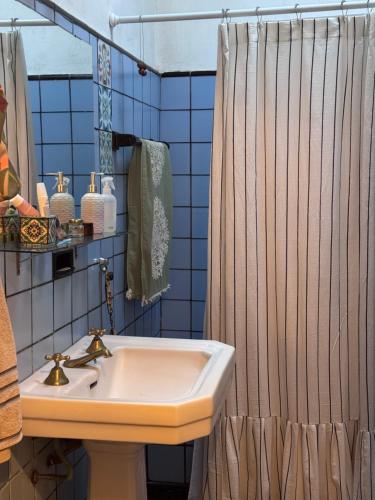 a bathroom with a sink and a shower at Casita Eureka in San Antonio de Areco