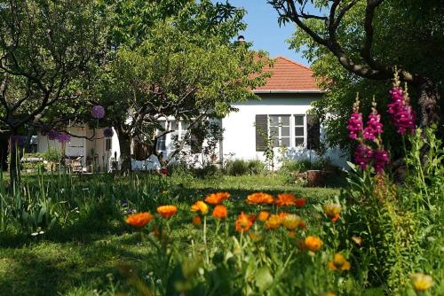 Villa Old Almond