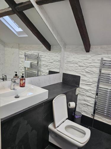 a bathroom with a white toilet and a sink at The Rockford Inn in Lynton