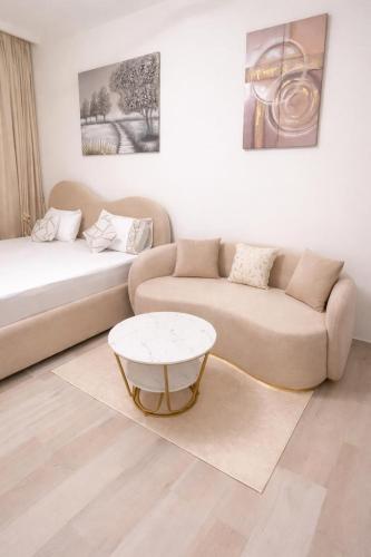 Elite Leisure Studio In Dubai