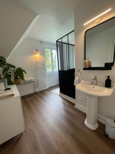 a bathroom with a sink and a mirror at Suite JULIETTE Chambre d'hôte de charme in Mulhouse