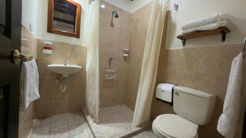 a bathroom with a toilet and a sink at Hotel Vizcaíno León in León