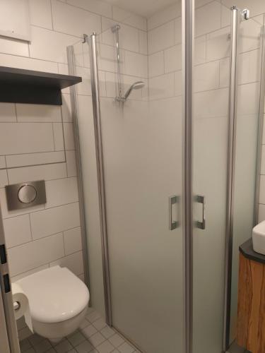 a bathroom with a shower and a toilet at Gasthof zur Post in Lalling