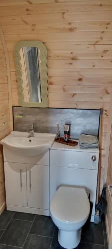 a bathroom with a sink and a toilet and a mirror at Stag's View in Ballina