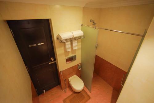 a small bathroom with a toilet and a shower at THE SEASHORE HOTEL in Kanyakumari