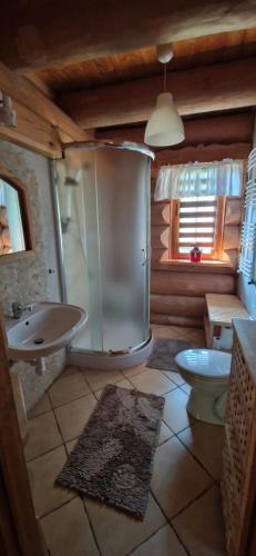 a bathroom with a shower and a sink and a toilet at Sosnowa Chata, Sauna in Jagniątków