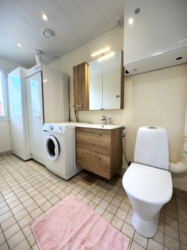 a bathroom with a toilet and a sink and a washing machine at Riihen Pirtti in Äkäslompolo
