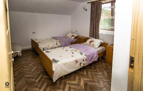 a bedroom with two beds and a window at Ioska Boro in Mehadica