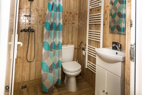 a bathroom with a toilet and a sink at Ioska Boro in Mehadica