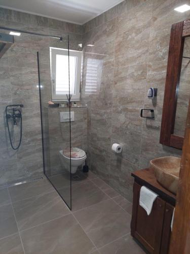 a bathroom with a shower and a toilet and a sink at Villa Nicoletta in Polača