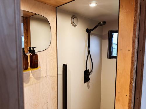 a bathroom with a mirror and a shower at Slapen op de Dijk - Tiny House in Kraggenburg