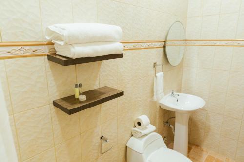 a small bathroom with a toilet and a sink at Hotel Plaza Los Tucanes in Santiago