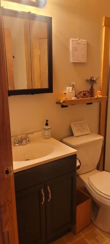 a bathroom with a sink and a toilet and a mirror at Ohana cabin in Hanover