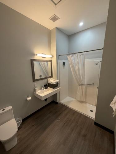 a bathroom with a shower and a toilet and a sink at The Moosehead in Glenwood