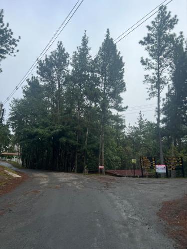 una strada sterrata con alberi sullo sfondo di Blue Dream a Los Altos de Cerro Azul
