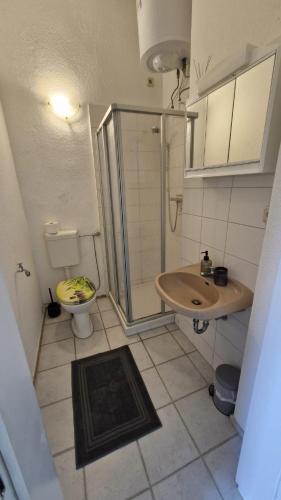 a bathroom with a shower and a sink and a toilet at Inselglück in Malchow