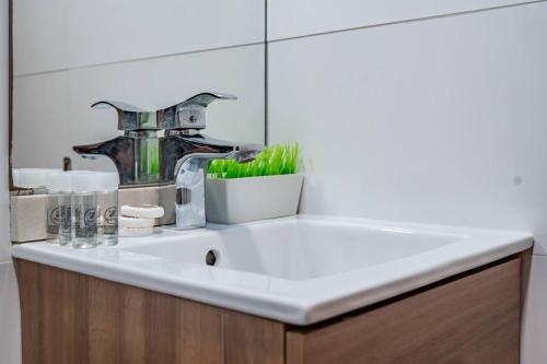 Essence Oporto Apartment Downtown