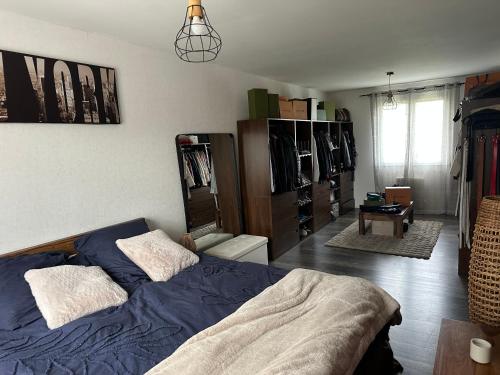 a bedroom with a bed and a closet at La Villa cocooning in Changé