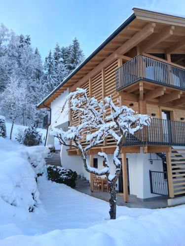 Apartment Troger