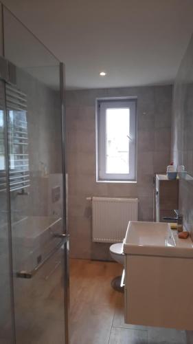 a bathroom with a sink and a toilet and a window at Pokoje do wynajęcia w domku in Ryczówek