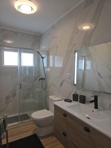 a bathroom with a shower and a toilet and a sink at Ninho D`ouro in Peso da Régua