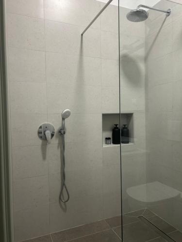 eine Dusche mit Glastür und Telefon in der Unterkunft The mint in Politika