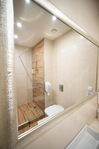 a bathroom with a shower and a toilet in it at Premier Sofia Airport Hotel in Sofia