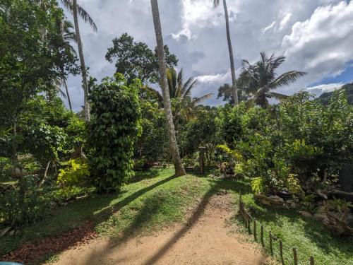 a path through a garden with palm trees at Highwalton Estate Heritage Bungalow in Udasgiriya