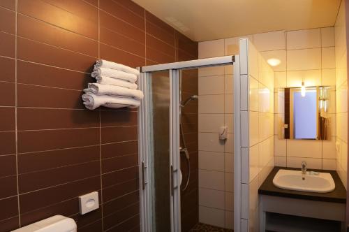 La salle de bains est pourvue d'une douche, d'un lavabo et de toilettes. dans l'établissement Logis Chez Germaine, à Geüs-d'Oloron