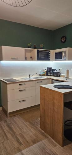 una cucina con pareti verdi e ripiani bianchi di Le matru a Sorbiers