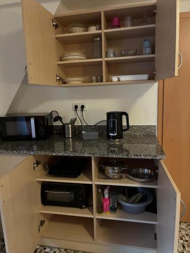 a kitchen with a counter top with a microwave at Studio Wangen in Burg-Reuland