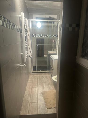 a bathroom with a shower and a toilet at Chambre privee dans une maison 2 in Aulnay-sous-Bois