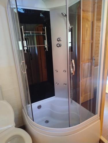 a shower in a bathroom with a toilet at Căsuțele Camping AliMar in Tîrsa