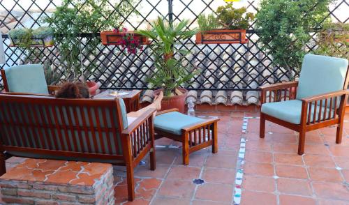 a cat sitting on a patio with three chairs at Oasis Backpackers' Hostel Granada in Granada